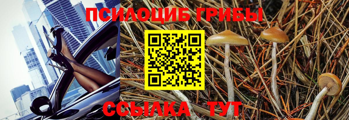 Псилоцибиновые грибы GOLDEN TEACHER Усолье-Сибирское